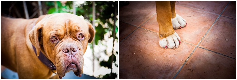 photographe mariage herault